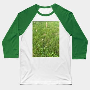 Grassland Plants Baseball T-Shirt